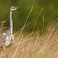 thumbs/IMG_7709.jpg